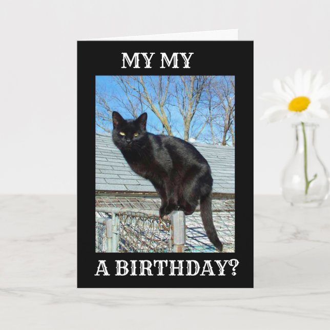 CARTE *SMARTY PANTS BLACK CAT** ANNIVERSAIRE (Petite plante)