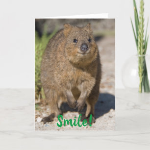 Carte Smile / Se Bien Bientôt, Happy Quokka, Australie