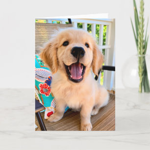 Carte Smiling Golden Retriever Chien Chien Chien Chien S