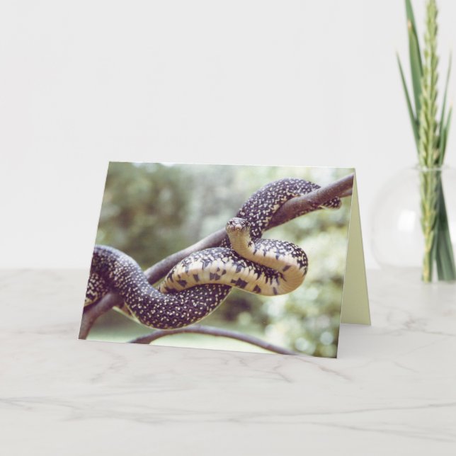 Carte Snake King (Devant)