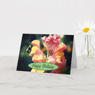 Carte Snapdragon Et Bumble Bee Anniversaire