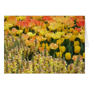 Carte Snapdragons