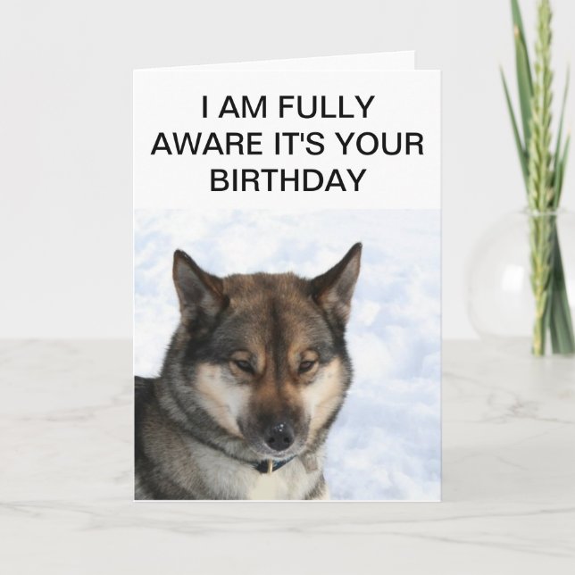 Carte Snarky Siberian Husky Birthday Card (Devant)