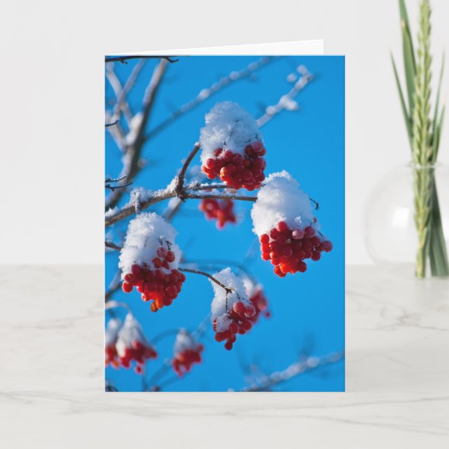 Carte Snow covered rowan berries (Devant)