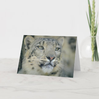 Carte Snow Leopard Close