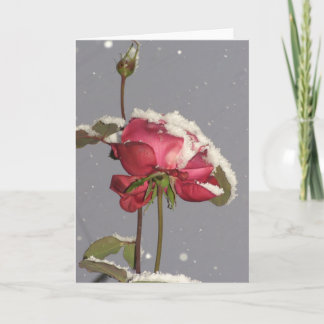 Carte Snow Rose