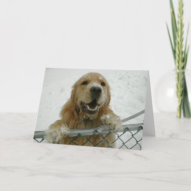 Carte Snowdog (Devant)