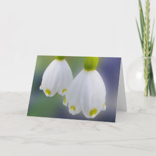 Carte Snowdrops