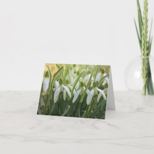 Carte Snowdrops blank notecard