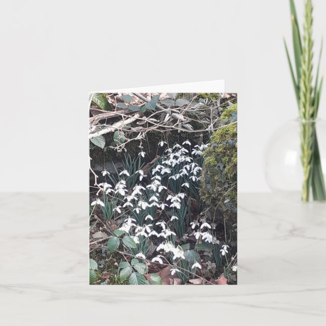 Carte Snowdrops de printemps (Devant)