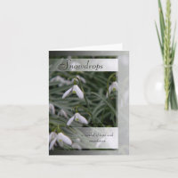 Snowdrops symbolisme et info