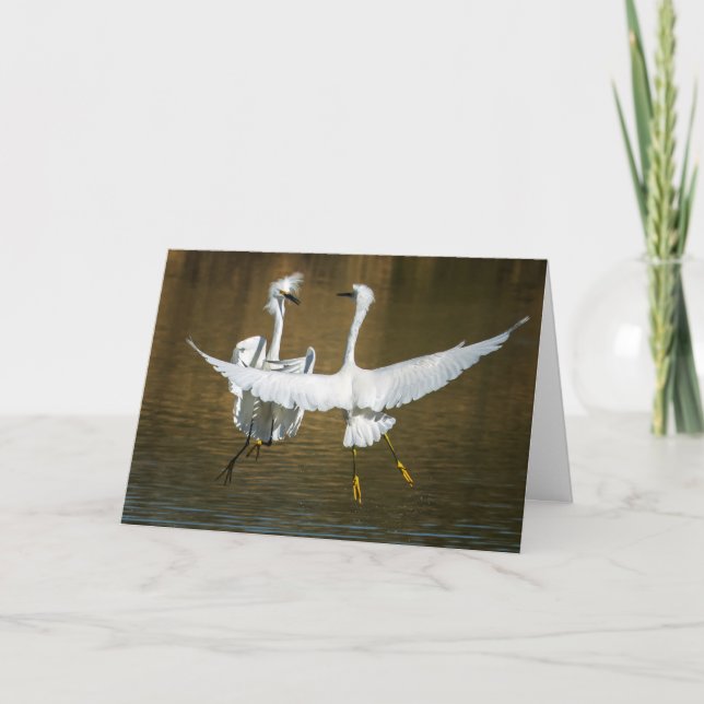 Carte Snowy Egret Greeting Card (Devant)