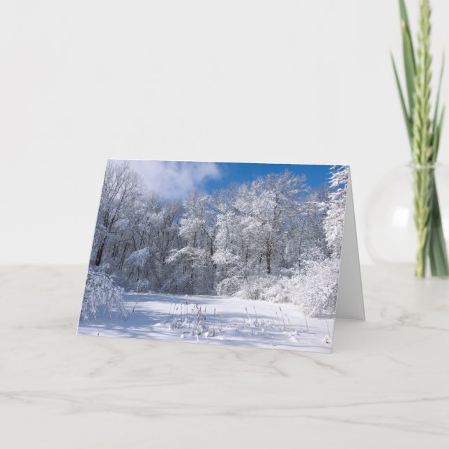 Carte Snowy Marthaler Park and Trees (Devant)