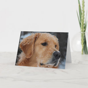 Carte Snowy Wyatt