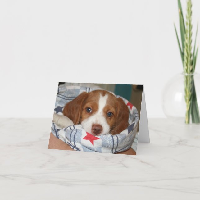 Carte Snuggle Brittany Puppy Notecard (Devant)