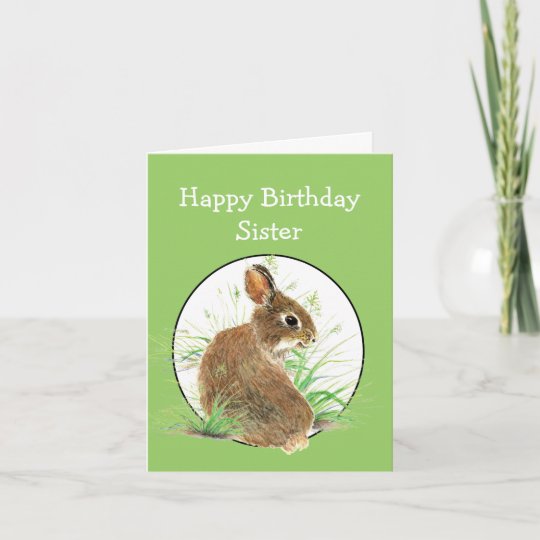 Carte Soeur Drôle Danniversaire Tout Le Lapin Mignon