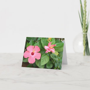 Carte Soeurs