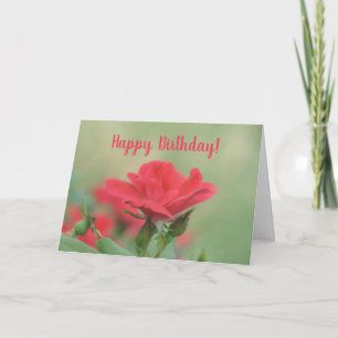 Carte Soft Rose Anniversaire