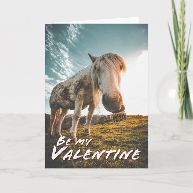 Carte Sois ma Saint-Valentin avec cheval qui regarde (Devant)