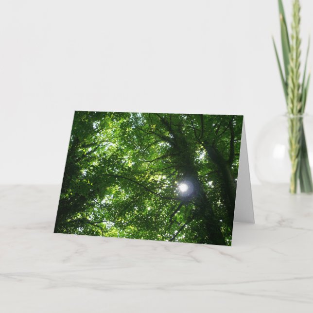 Carte Soleil dans les arbres (Devant)