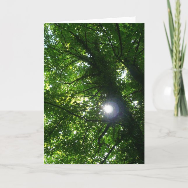 Carte Soleil dans les arbres - Vertical (Devant)