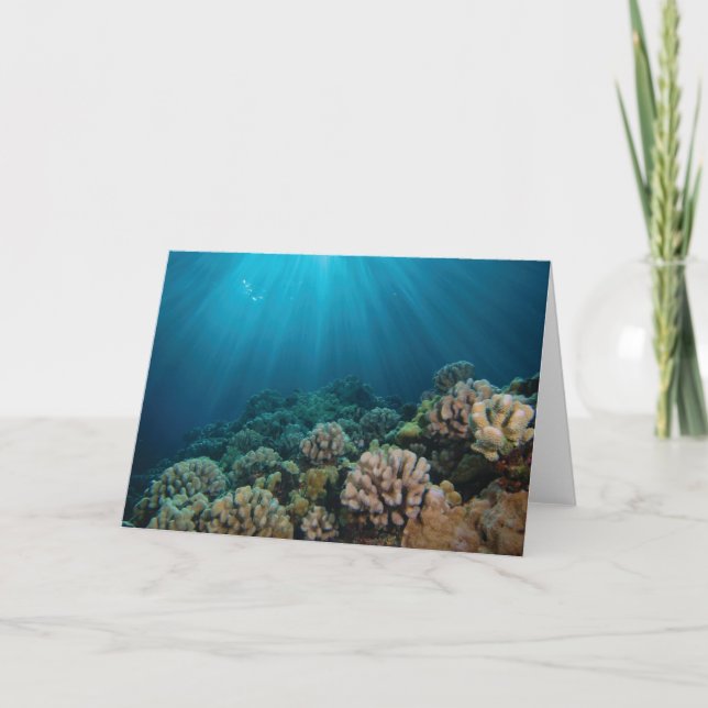 Carte Soleil dansant (Devant)