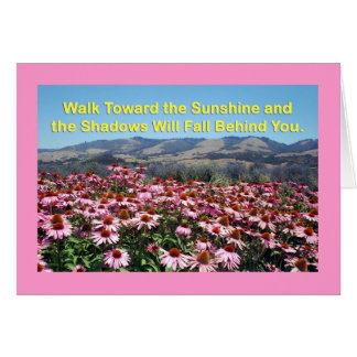 Carte soleil et ombres