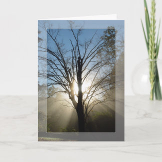 Carte Solstice "Morning Glory"