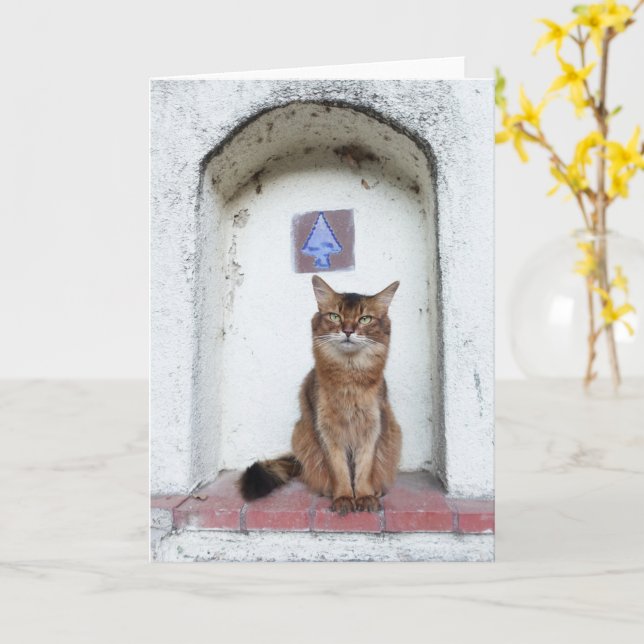 Carte Somali Cat in Alcove Old World Scene Greeting (Fleur jaune)