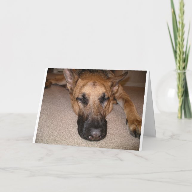 Carte Somnolent (Devant)