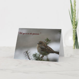 Carte "Son oeil est sur le moineau"