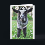 CARTE *SON* S'ARRÊTE LE MARDI POUR DIRE HEUREUX<br><div class="desc">MERCI D'AVOIR ARRÊTÉ PAR L'UN DE MES HUIT MAGASINS. HEUREUX ANNIVERSAIRE À "VOTRE FILS" OU MÊME VOTRE "FILS EN DROIT"</div>