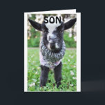 CARTE *SON* S'ARRÊTE LE MARDI POUR DIRE HEUREUX<br><div class="desc">MERCI D'AVOIR ARRÊTÉ PAR L'UN DE MES HUIT MAGASINS. HEUREUX ANNIVERSAIRE À "VOTRE FILS" OU MÊME VOTRE "FILS EN DROIT"</div>