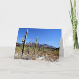 Carte Sonoran Desert Scene 13