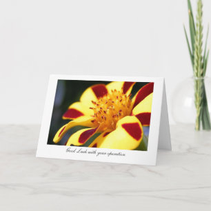 Carte Souci gai de farceur - chance avec votre opération