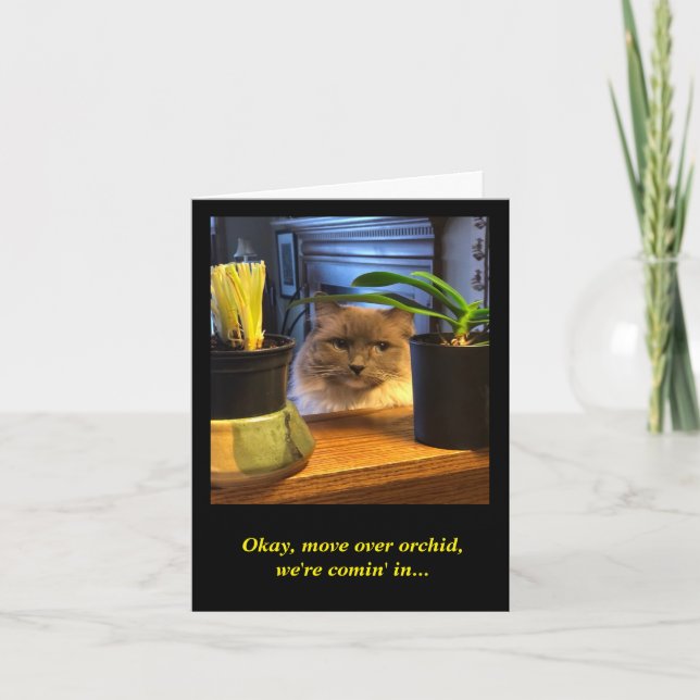 Carte Souhait d'anniversaire humoristique (Devant)