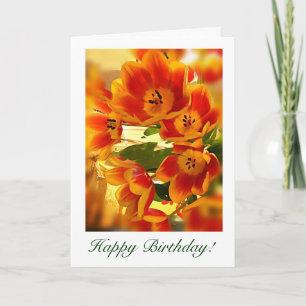 Carte souhaits d'anniversaire de tulipe de rayon de