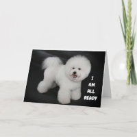 **SOUHAITS DE DOGGIE CUEILLANTS** HEUREUX *40ème**