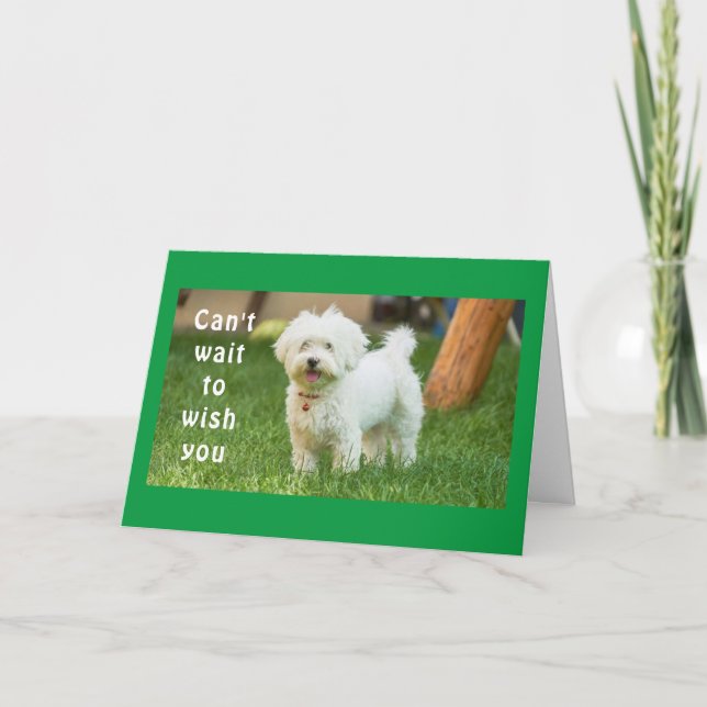 CARTE **SOUHAITS POUR LE MEILLEUR ANNIVERSAIRE JAMAIS** (Devant)