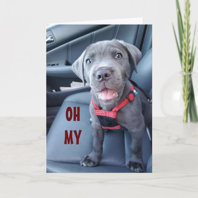 CARTE SOUHAITS SPÉCIAUX DU 50E ANNIVERSAIRE D'UN POIVRE  (Devant)