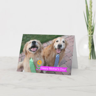 Carte Souriant Golden Retrievers portant le jour des mèr
