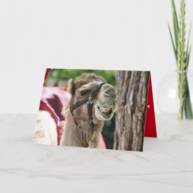 Carte Sourire (Devant)