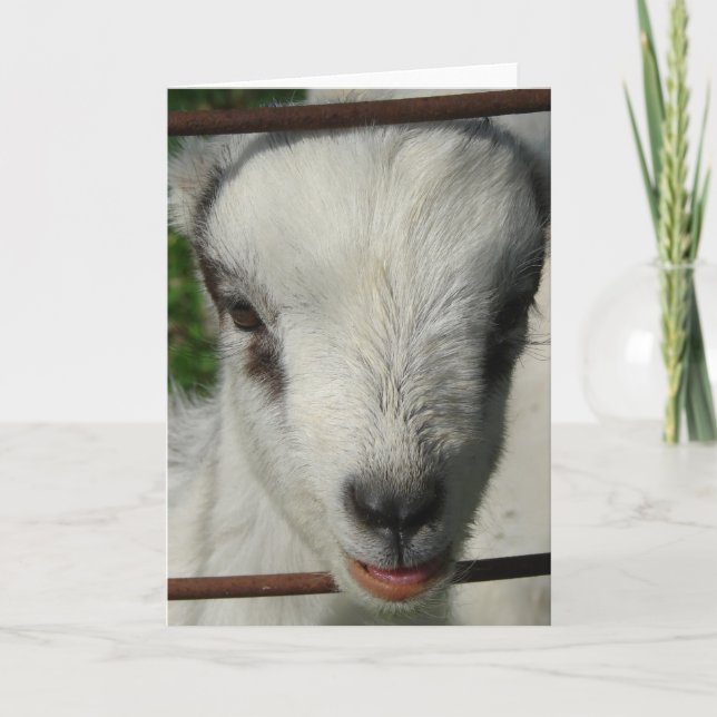 Carte Sourire (Devant)