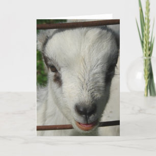Carte Sourire