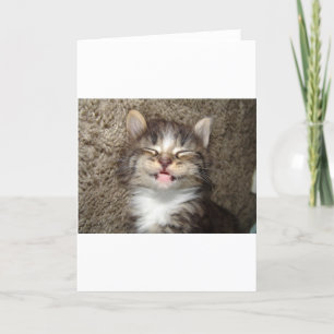 Carte Sourire de chaton