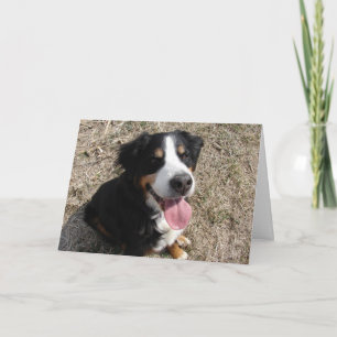 Carte Sourire de Chien de Montagne de Berne