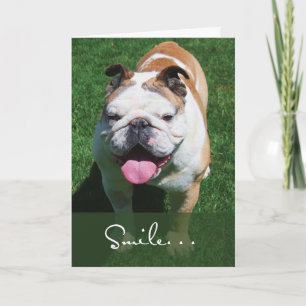 Carte Sourire, Pensée pour toi, Bouledogue