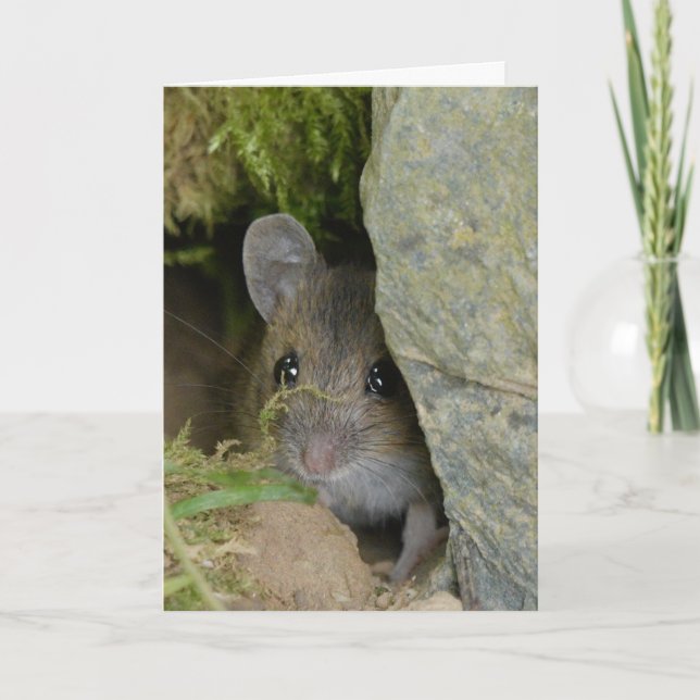 Carte Souris de champ dans un trou dans le mur (Devant)