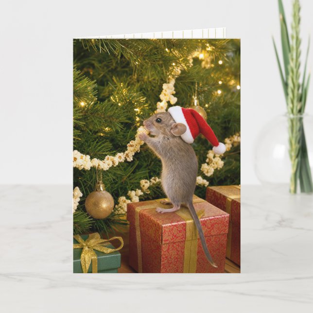 Carte Souris de Noël mangeant du pop-corn sur l'arbre (Devant)