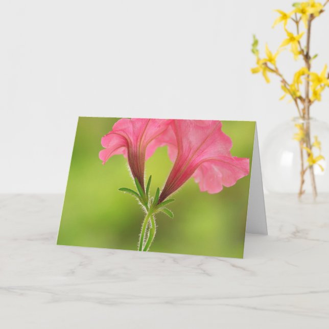 Carte Soutien au cancer du sein Pink Petunia (Fleur jaune)